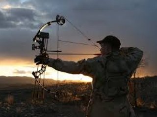 Better Bow Hunting Better Bow Hunting