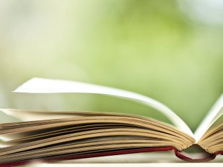 Literature Literature