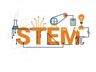 STEM in the Elementary Classroom STEM in the Elementary Classroom